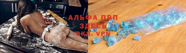 индика Верея