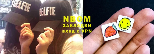 индика Верея