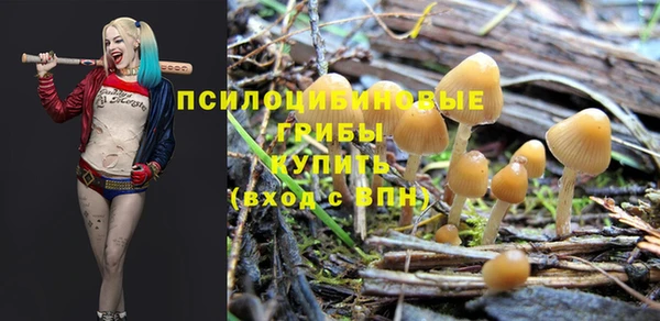 гидра Верхний Тагил
