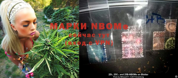 прущий лед Богданович