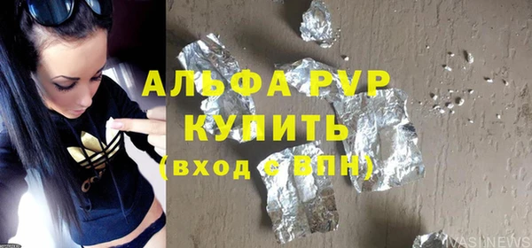 прущий лед Богданович