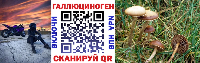 Псилоцибиновые грибы ЛСД  Каргат 